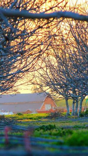 蜘蛛池域名要求截图4