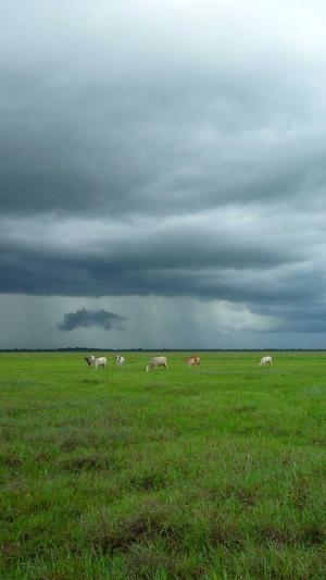 百度seo优化工具截图5