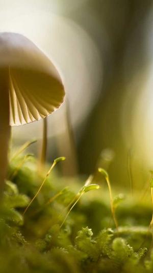 城市分站 站群泛目录截图1