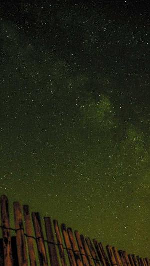 手机seo工具手机截图1