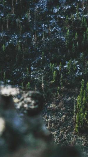 谷歌蜘蛛池购买网站截图2