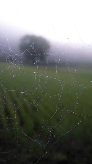 泛目录购买截图5