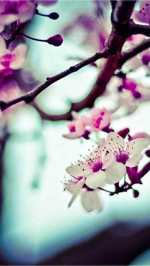 泉州网站建设公司截图3