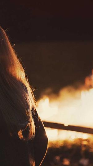 陈默蜘蛛池出租截图4