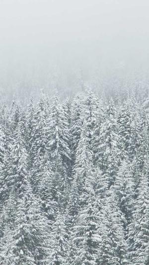 山西省建设厅网站截图2