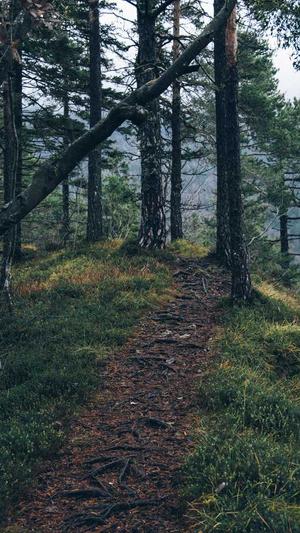 蜘蛛池是什么截图1