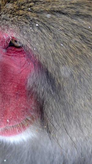 泛目录app推广截图3