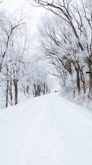 朝阳seo工具截图1