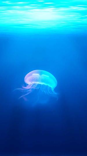 网站建设企业截图2