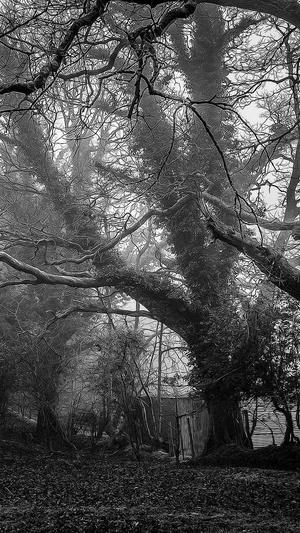 西宁网站建设截图5