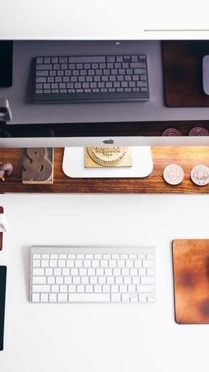 泛目录app推广截图2