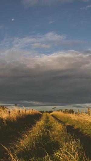 蜘蛛池养殖方法视频截图1