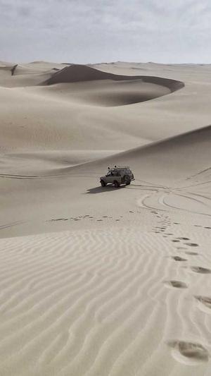 阿里蜘蛛池 破解版截图4