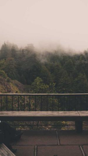 便宜网站建设截图3