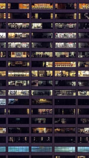 seo免费优化截图1