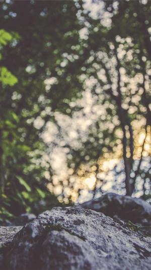 四川省住房与城乡建设厅网站截图1