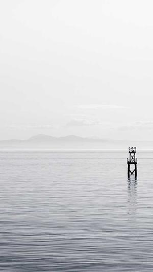 武汉seo推广截图4