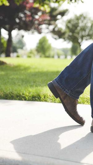 seo网站收录工具截图3