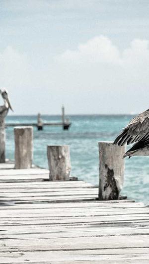 泛目录app推广截图1