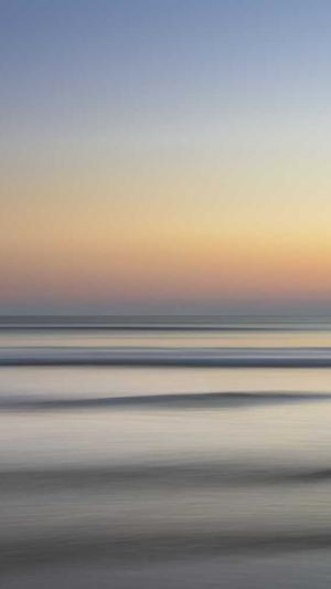 蜘蛛池购买网站是什么截图5