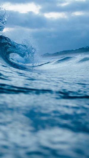 好用的网站seo优化工具截图4