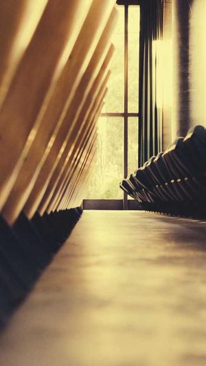 蜘蛛池有什么作用吗截图2