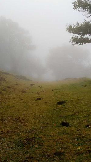 魔法般seo赚钱培训截图3